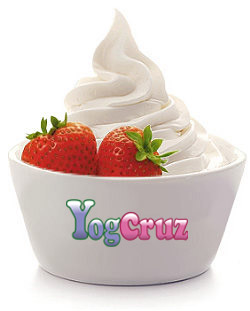 yogcruz frozen yogurt ice cream